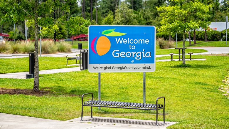 Georgia welcome center sign