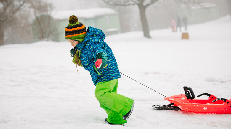 Kid with snow sled