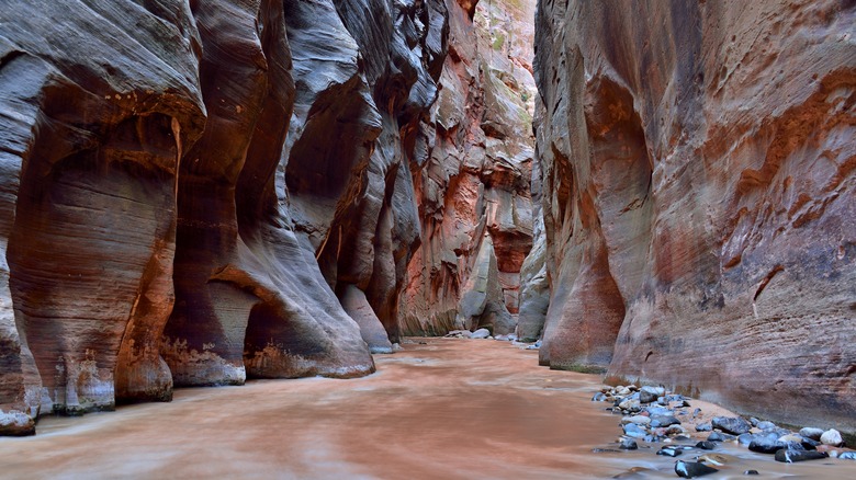 The Narrows with muddy water 