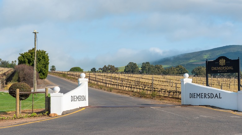 entrance to Diemersdal Estate