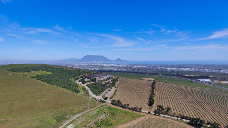 aerial view of Durbanville Hills