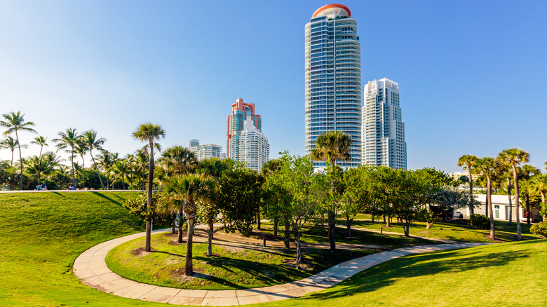 Skyscrapers loom over palm trees in South Pointe Park