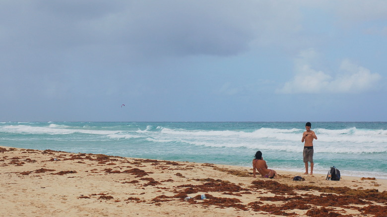 Cuban coast