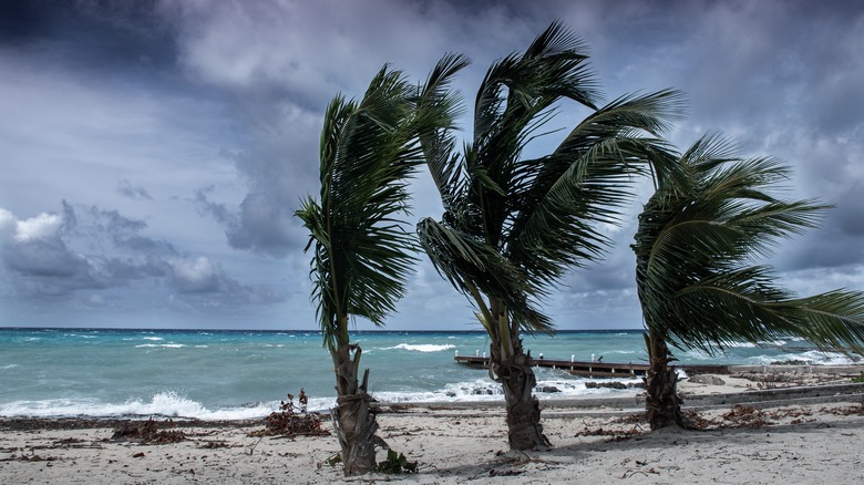 Cayman Island storms