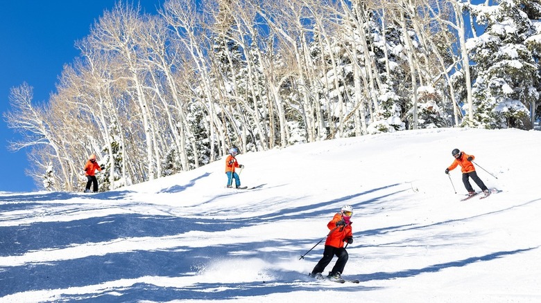 skiers on snowy slope