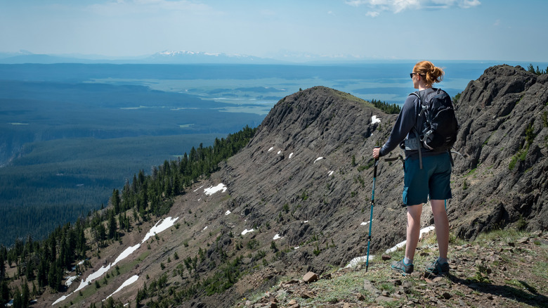 hiker at Mount Washburn