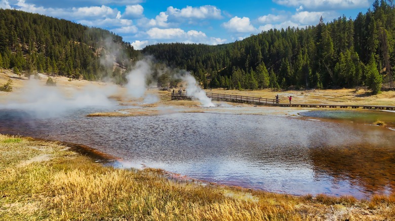 geysers by Firehole Lake Drive