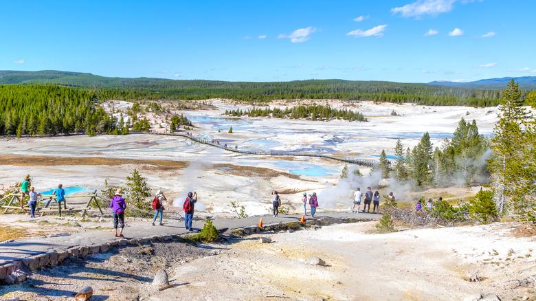 people at Norris Geyser Basin