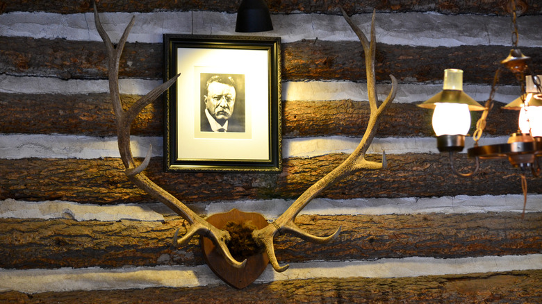 Roosevelt Lodge cabin wall antlers Teddy