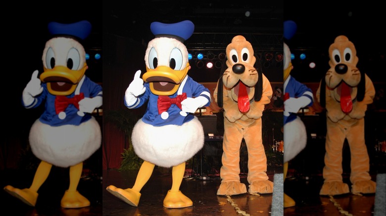 Donald Duck and Pluto