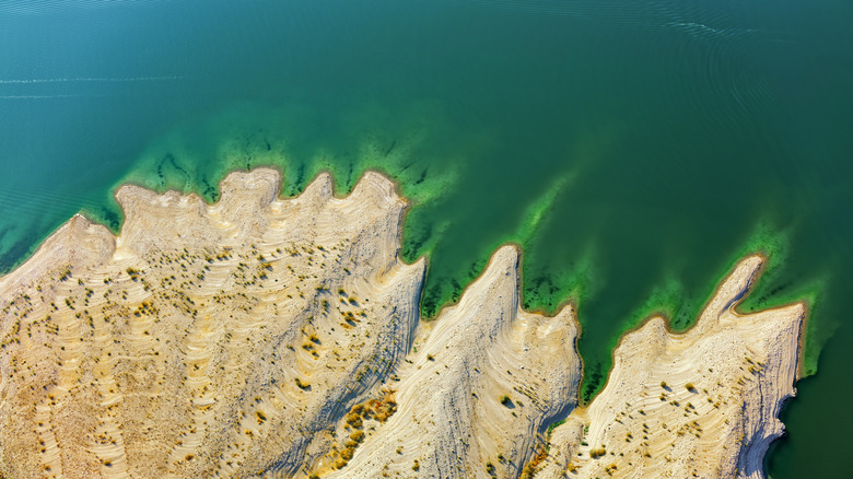 Overhead view of Lake Mead