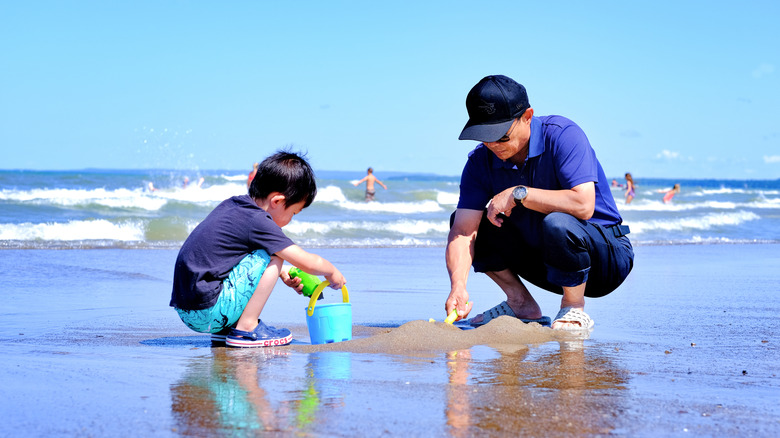 Father and son playing at Wasaga Beach, Ontario, Canada