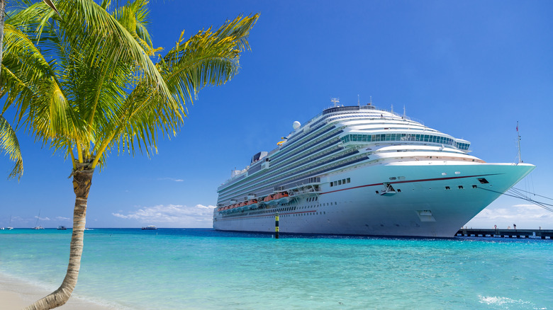 Cruise ship docked at port