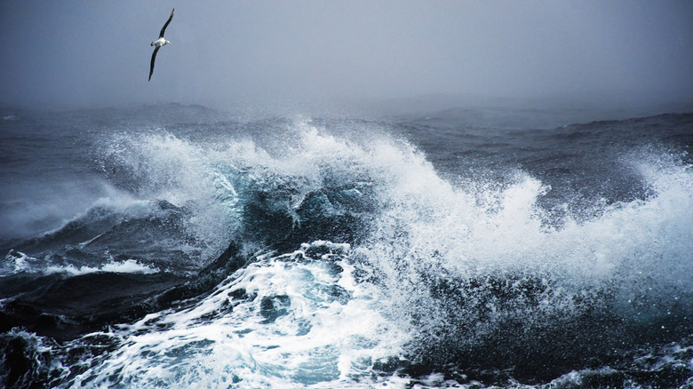 Rough waves in the Drake Passage near Antarctica