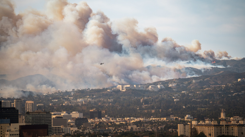 wildfires in LA