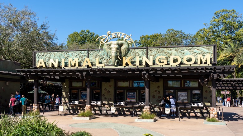 Entrance to Animal Kingdom