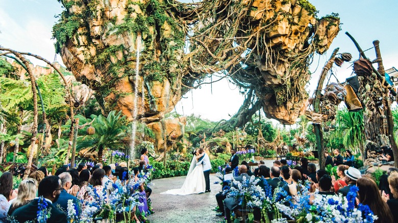A Disney World wedding ceremony