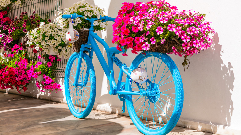 Blue bike and spring flowers