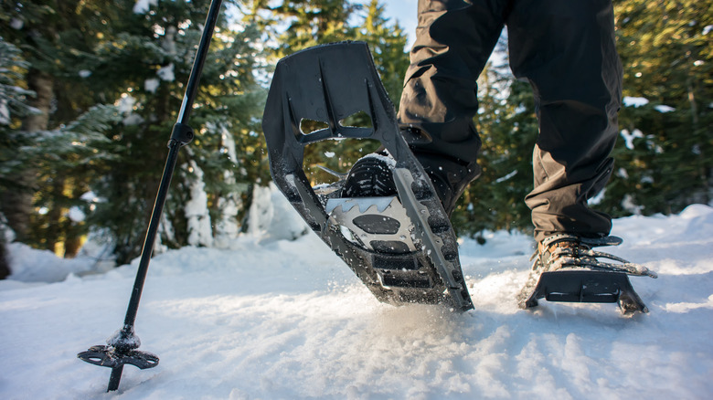 Snowshoeing in the winter