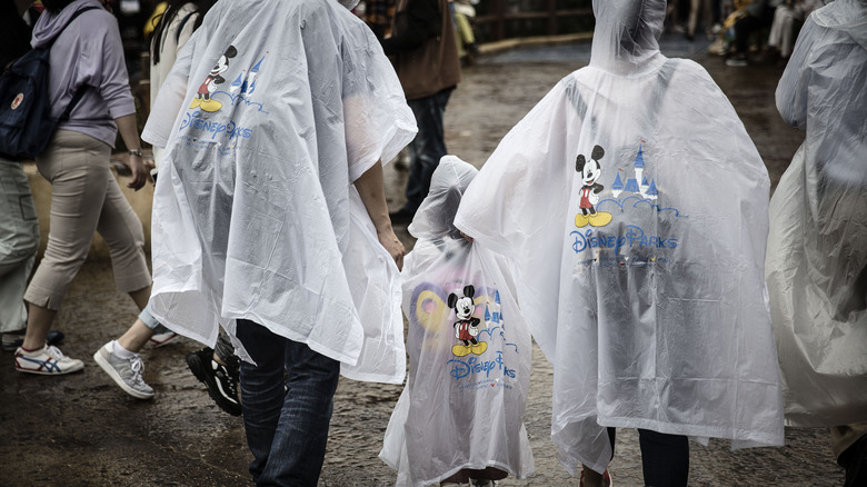 Guests wearing Disney Parks ponchos