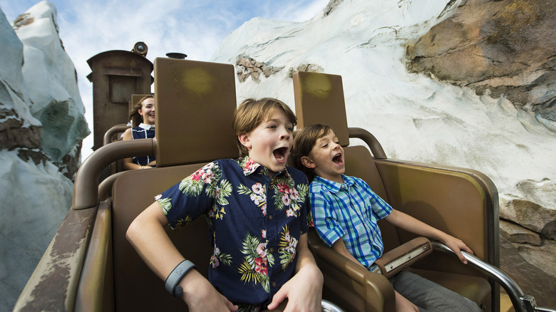 Two boys riding Expedition Everest