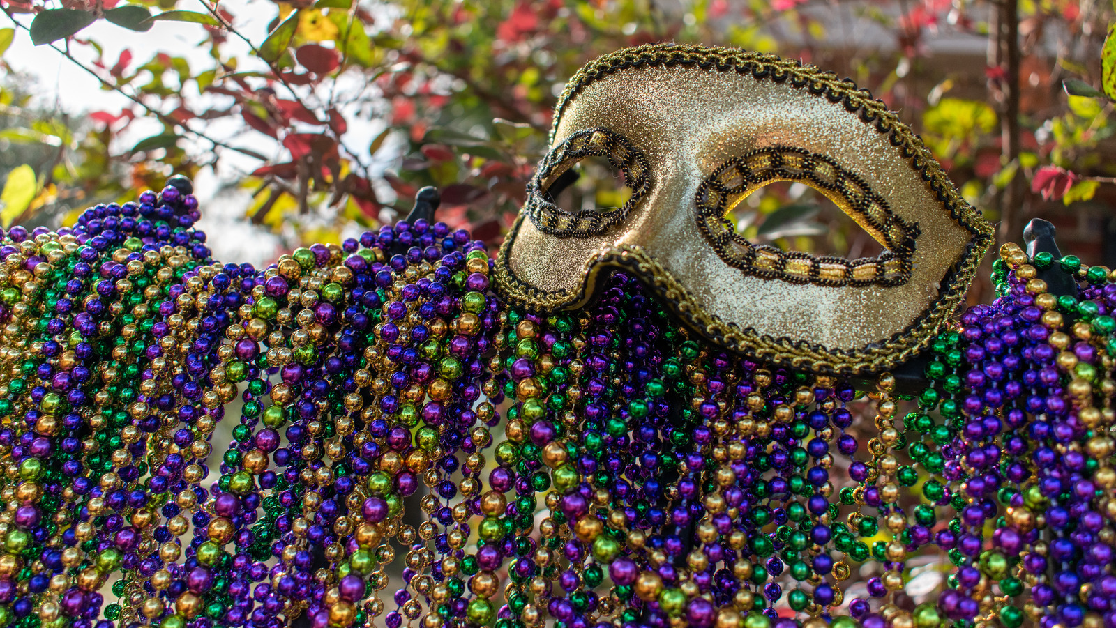 New Orleans Mardi Gras needle minder