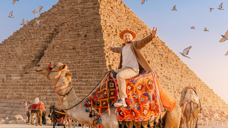 Tourist enjoying a camel ride